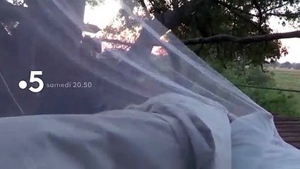 [BA] Échappées belles – Botswana, intense et sauvage - 16/05/2020