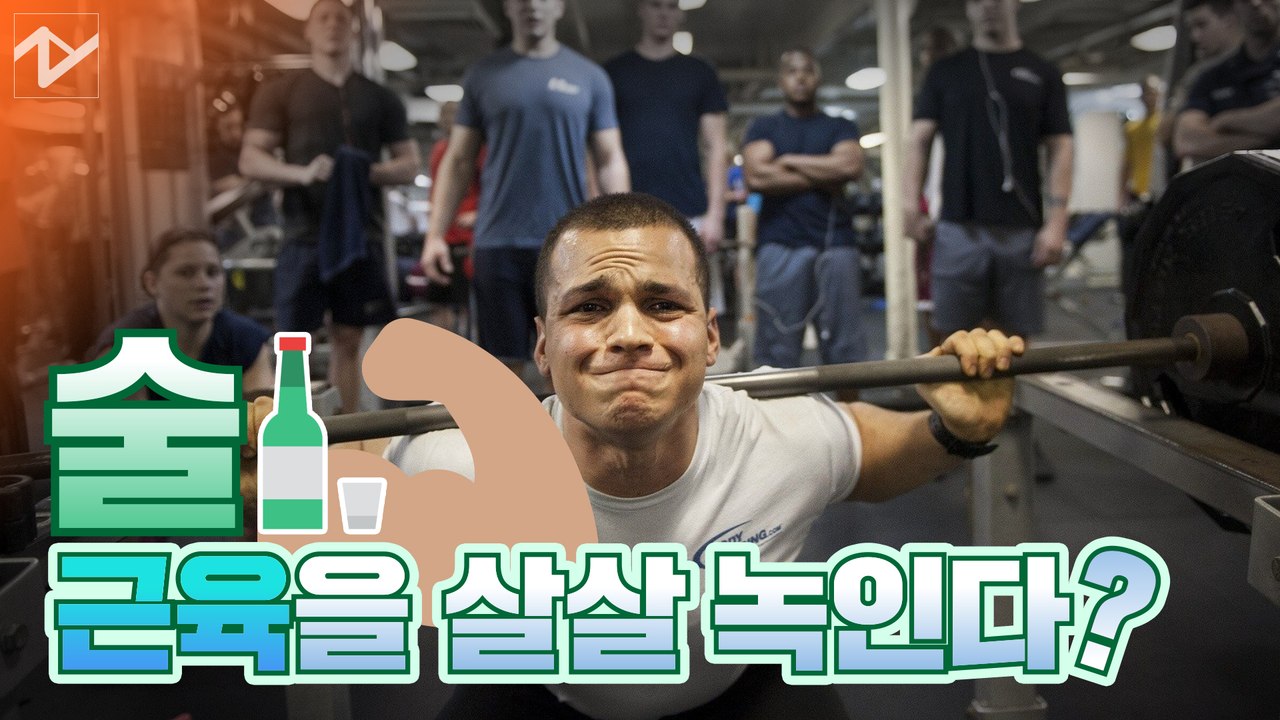 술을 마시면 근육이 살살 녹을까? 근손실 예방 꿀팁