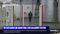 Coronavirus: les 700 salariés d'un abattoir de Vendée testés après la détection de dix cas