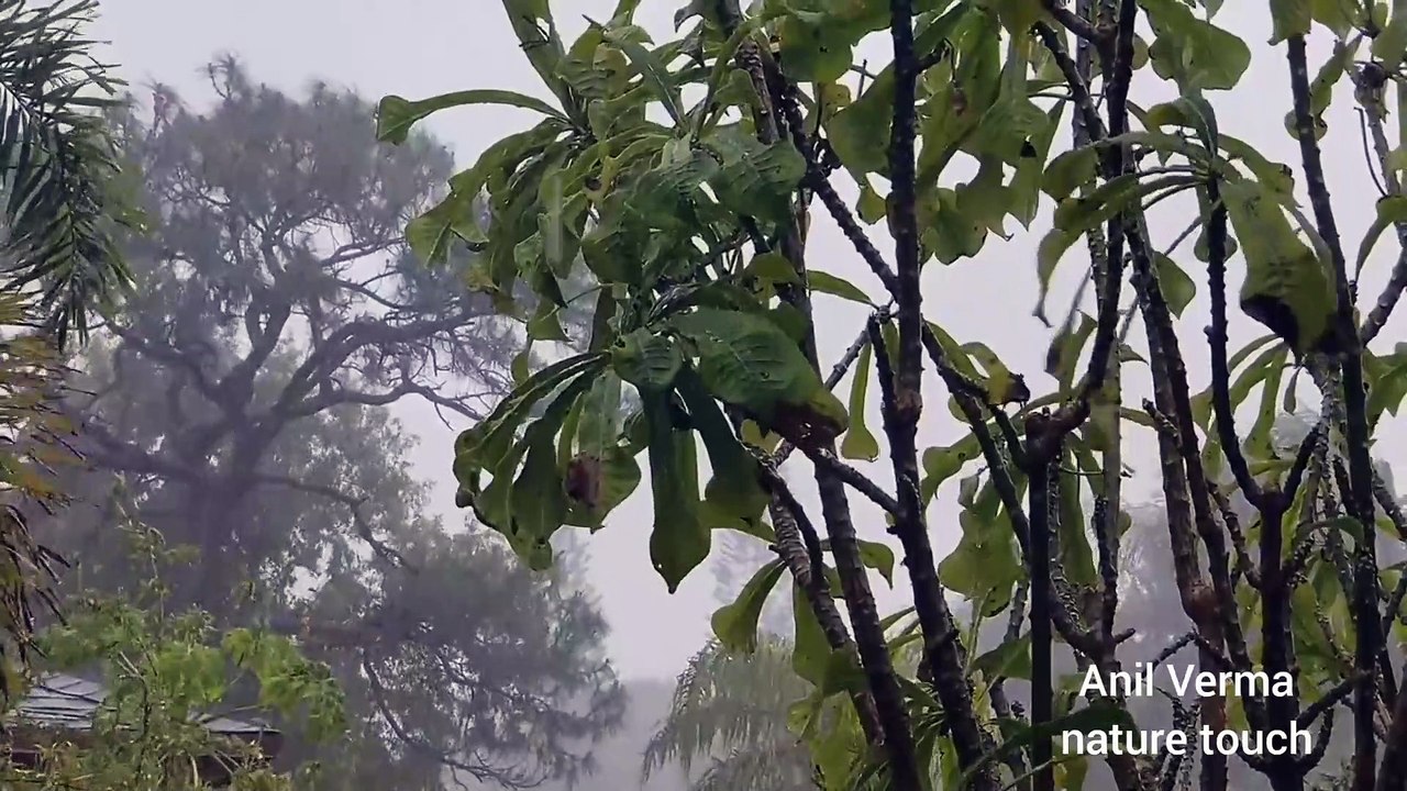 Nature storm/nature storm sounds/nature storm videos/nature touch/कुदरती तुफान/entertainment/creative//By Anil Verma.. 3..