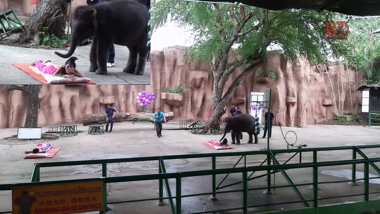 ELEPHANT SHOW ON BIHAR DARSHAN
