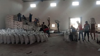 मंदसौर: जिले में अब तक 1 लाख 29 हजार 109 टन गेहूं की खरीदी की गई