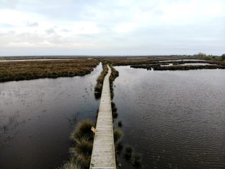İşte Cumhurbaşkanlığınca 'kesin korunacak hassas alan' ilan edilen Kuş Cenneti