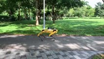 Des robots surveillent la distanciation sociale dans ce parc !