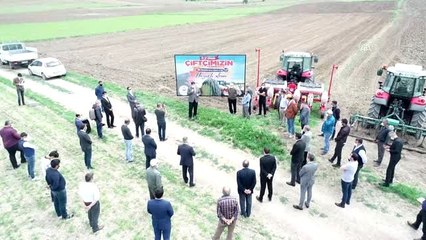 Kahramankazan'da kavun ekimi başladı