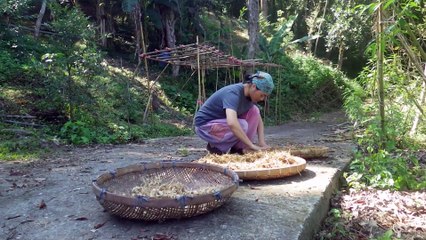 去年種的臭川芎可以收了，拿來和豬尾骨燉湯。 Stew the chuanxiong planted last year with pork tail bones and rice wine.