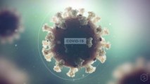 Coronavirus Animation: High Impact Demonstrates How COVID-19 Impacts the Body