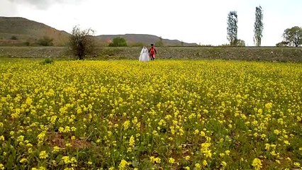 Doğal stüdyoya dönüşen hardal tarlasında Kafkas dansı