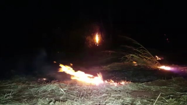 Incêndio de proporções consideráveis atinge vegetação no Bairro 14 de Novembro