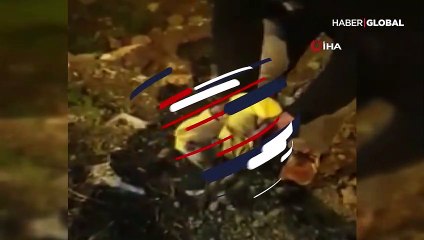 Tilki yavrusunu arabaların arasından kurtardılar