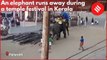 Elephant runs away during a temple festival in Kerala