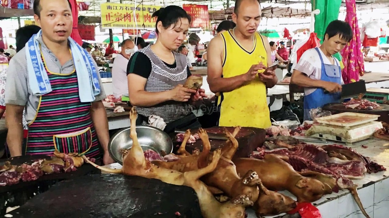 Coruna Virus के लक्षण और उपाय ! Coronavirus in Hindi |Coronavirus Symptoms in Humans | Corona-Virus