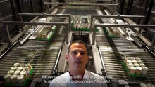 Highrunner mk7 - palletiser