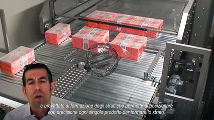 Highrunner mk7 - Pallettizzatore flessibile