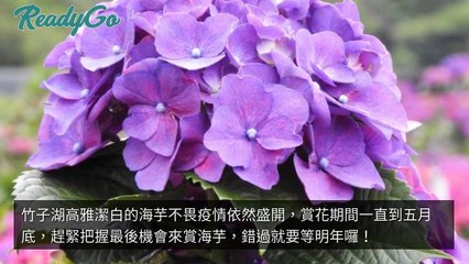 breaktime_readygo_curation_desktop_middle-copy1-20200512-17:59