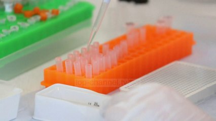 Top News - Vaksina e tuberkulozit/ Testohet për mbrojtje nga Covid-19
