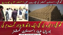 1 lakh 8000, wheat sacks recovered from godowns in Ghotki