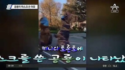 공룡이 마스크 쓴 이유