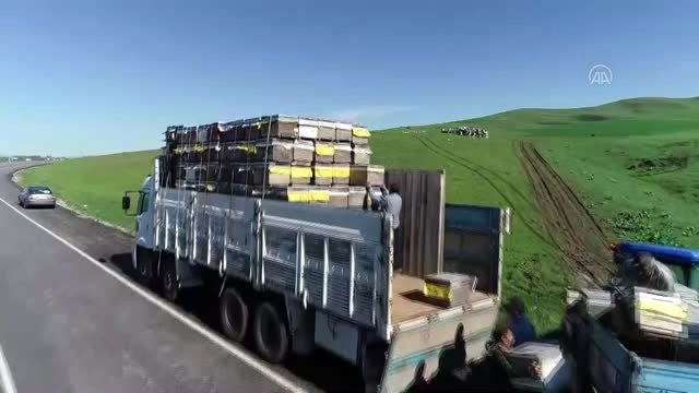 Gezgin arıcıların vazgeçilmez durağı: Muş Ovası