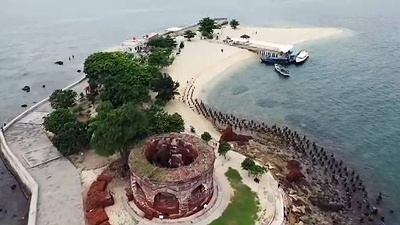 Sea bitch ilent nature videos . Real Nature org