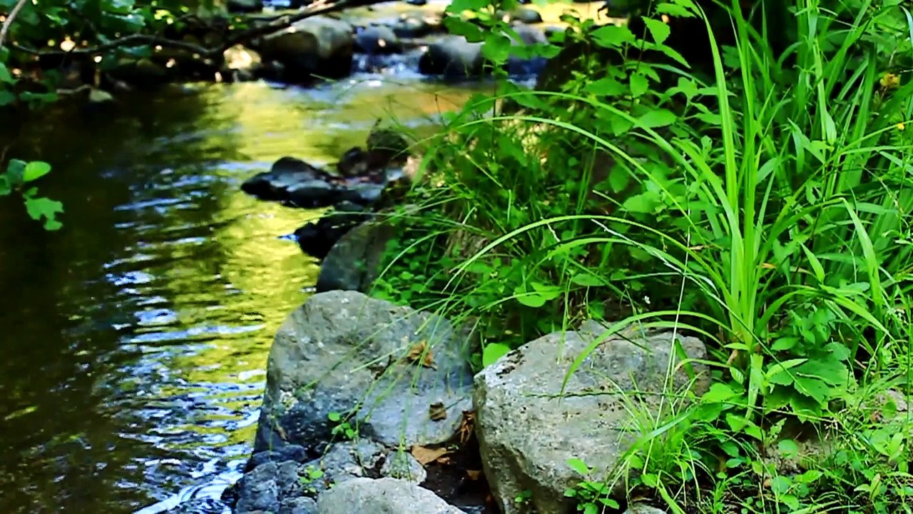 Mindfulness Meditation for Anxiety, Stress and Relaxation by Glenn Harrold