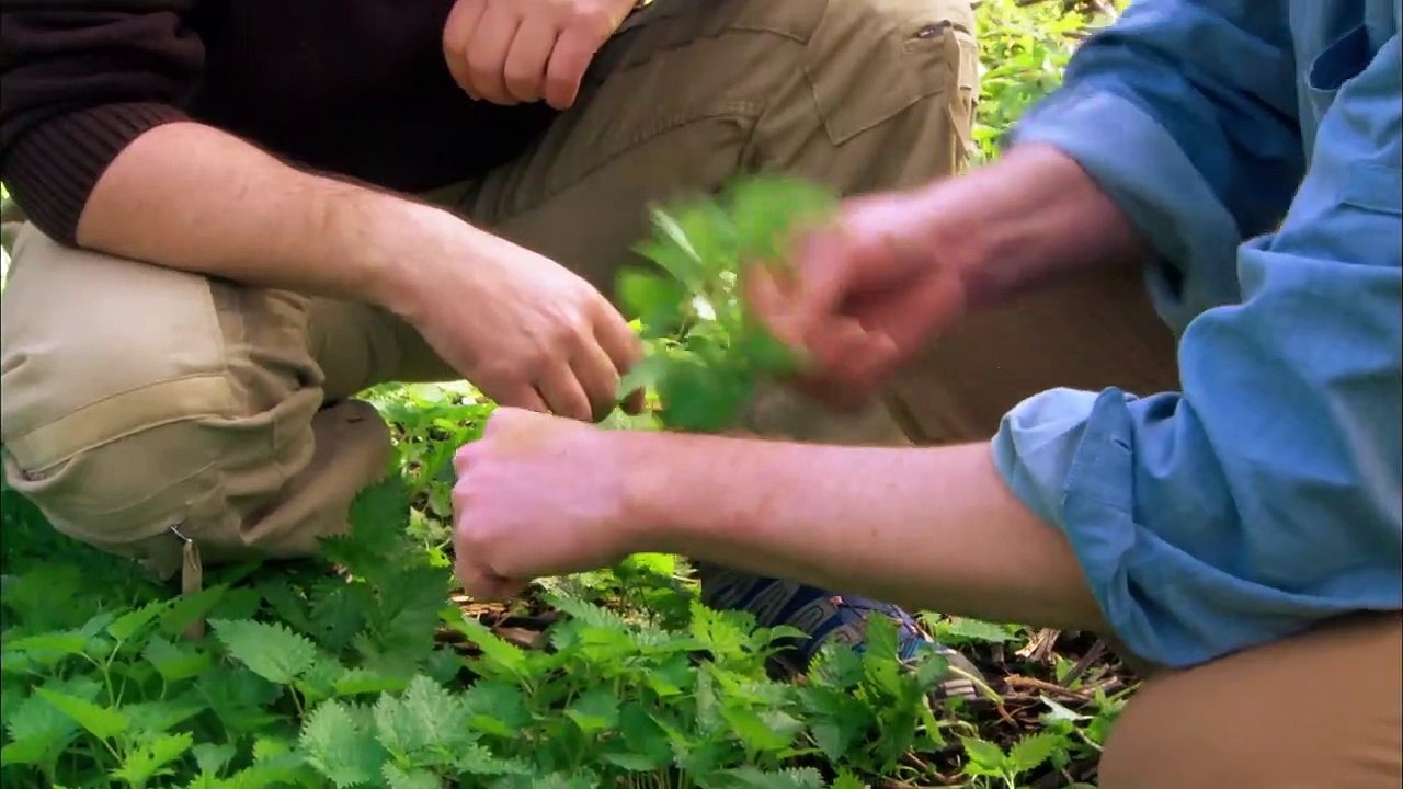 Living In The Time Of Jesus Episode 2 Healing The Sick