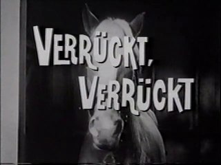 Mr. Ed - 092. Verrückt, verrückt