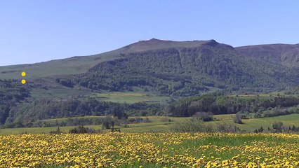 Mer ou montagne ? Les vacances d’été se préparent malgré les incertitudes