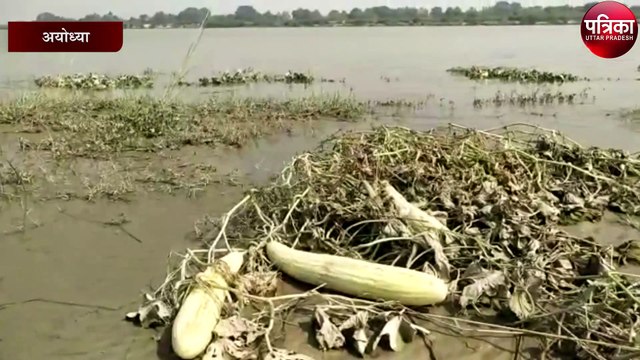 कोरोना से खेतों में रुके फसल को सरयू के उफान ने किया बर्बाद