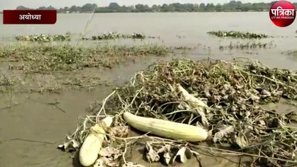 कोरोना से खेतों में रुके फसल को सरयू के उफान ने किया बर्बाद