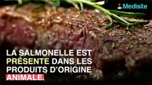 Salmonelles : quels sont les symptômes de contamination ?