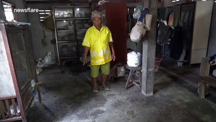 Swarms of bugs take over Thai couple's house after heavy downpour