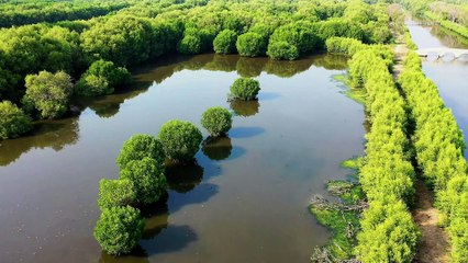 Drone view - beautiful landscape