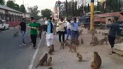 लॉकडाउन के समय इंसानों के साथ जानवरों का भी रखें ख्याल : पूरन प्रकाश