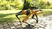 Meet the robot dog promoting safe distancing in Singapore's parks
