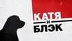 Катя и Блэк - 2 серия (2020) HD детектив смотреть онлайн