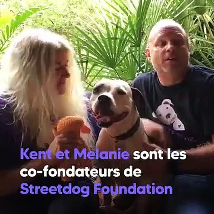 Ce couple au grand coeur sauve les chiens abandonnés par leurs propriétaires