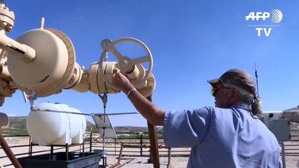 Texas oil producer struggles as prices collapse amid oil glut