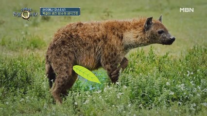 창과 방패가 한 몸에(?) 다 있다?! 학구열 폭발한 출연진들♨