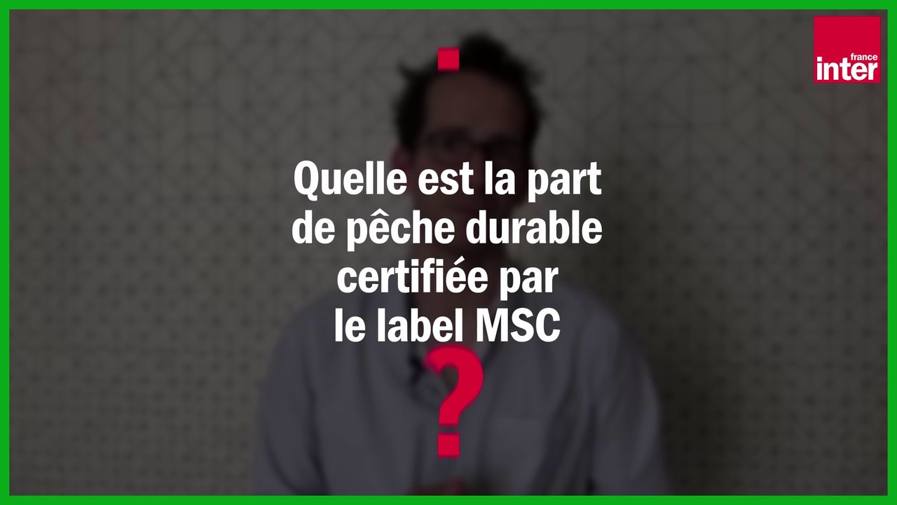 Frédéric Le Manach : "Le label MSC certifie "durable" de la pêche industrielle destructrice"