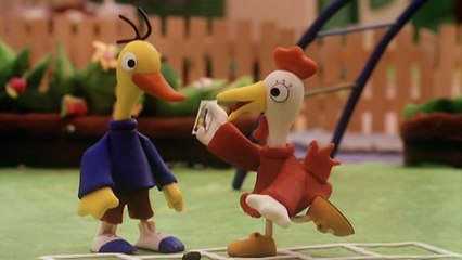 Koki´s fowl eggs-changes