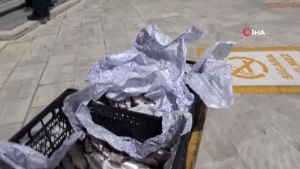 Bolu'da ürettiği 200 alabalığı sağlık çalışanlarına hediye etti