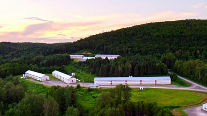 COVID-19 : Westco doit fermer des sites de productions au Nord-Ouest