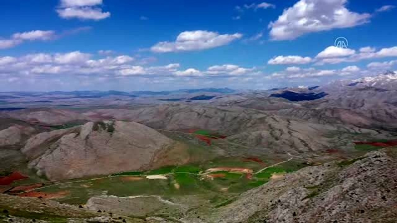 Salavan Dağı'nda açan ters laleler görsel şölen sunuyor