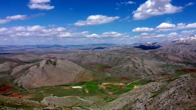 Salavan Dağı'nda açan ters laleler görsel şölen sunuyor