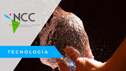 Hu­me­dal ar­ti­fi­cial para ge­ne­rar un sis­te­ma de pu­ri­fi­ca­ción de agua na­tu­ral