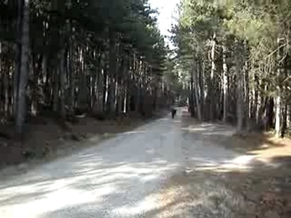 xp6 hebo manston revo vs mbk x limit kit 50 mk alu race