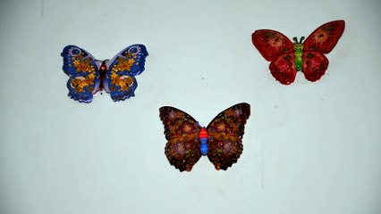 BUTTER FLY`S IN WALL