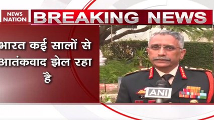 What Army Chief General Mukund Naravane Said On Terrorism, China