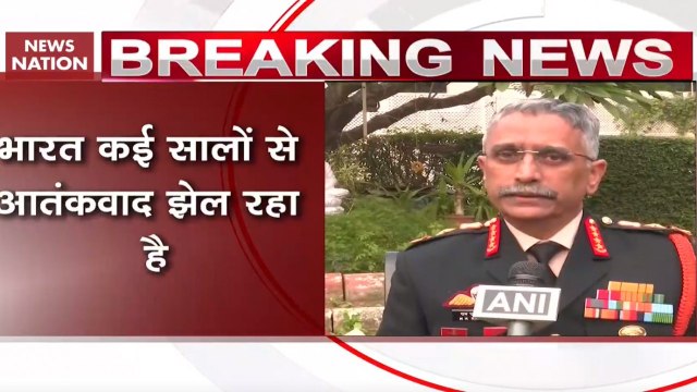 What Army Chief General Mukund Naravane Said On Terrorism, China